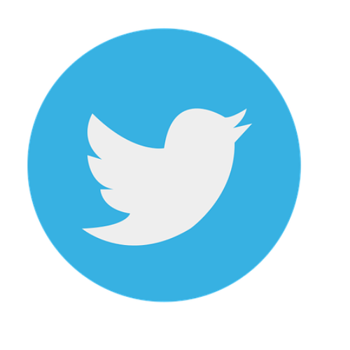 Twitter Link
